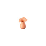 Rosenthal Florinda coral vase