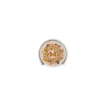 Le jardin de Porcel.coaster 4 pcs