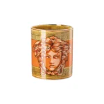 Medusa Amplified Orange Coin / Vase 18 cm