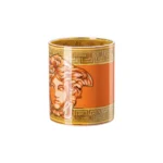 Medusa Amplified Orange Coin / Vase 18 cm - Image 5